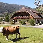 Unterwirt Daire Bad Kleinkirchheim